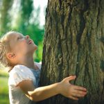 "Tree of Life": Ein Baum, in dem der Verstorbene weiterlebt …