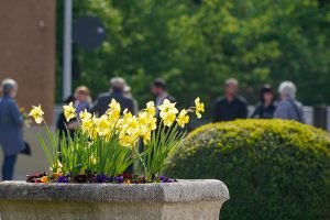 Gelbe Blumen vor Trauergemeinschaft vor Friedhofshalle
